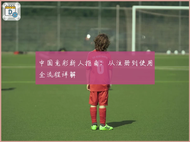 中国竞彩新人指南：从注册到使用全流程详解