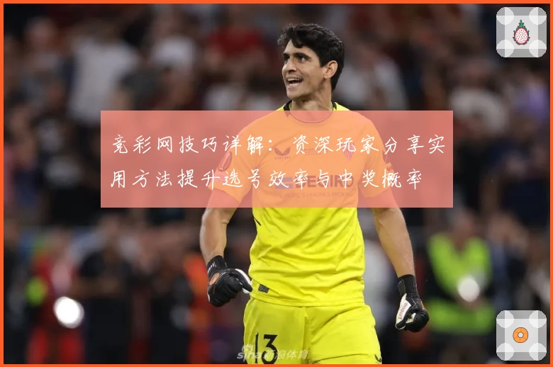 竞彩网技巧详解：资深玩家分享实用方法提升选号效率与中奖概率